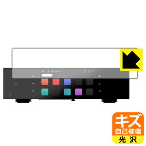 �L�Y���ȏC���ی�t�B���� Eversolo T8 ���{�� ���А�������