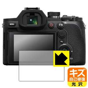 �L�Y���ȏC���ی�t�B���� Cyber-shot RX10 V ���{�� ���А�������