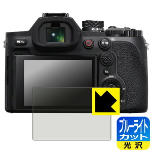 �u���[���C�g�J�b�g�y ���� �z�ی�t�B���� Cyber-shot RX10 V ���{�� ���А�������