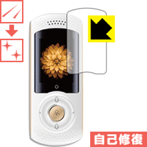 LYȏCیtB AIgщ|@ Mayumi II { А