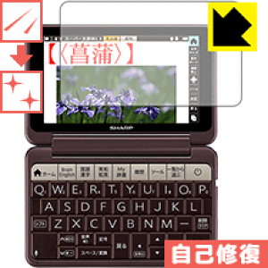 LYȏCیtB V[vdq Brain PW-AA1/PW-AJ1 { А