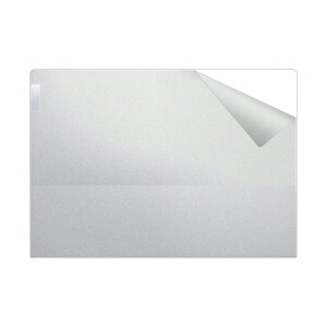 スキンシール ThinkBook 13s Gen 4 【 透明・すりガラス調 】 日本製 自社製造直販