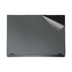 �X�L���V�[�� THIRDWAVE DX-16RP7A-6 �y �����E����K���X�� �z ���{�� ���А�������