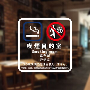 iݔW uiړI(΂̔X)v VRz tB(đ\tp) 2020N4(pؒ) S9-O