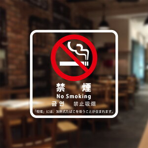 iݔW u։v VRz tB(瑤\tp) 2020N4(pؒ) S16-U