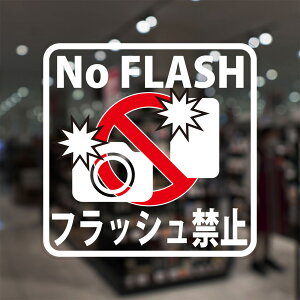 KXɓ\tB uNo Flash tbV֎~v (瑤\tp) 10-U ӊN W TC VRz tB