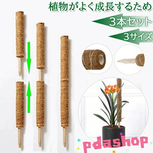 yz3{Zbg RRXeBbN Xe x RRibc  |x |gX Ax K[f  Ԃ A  ؐ RRibcx x K[fjOpx ϗt