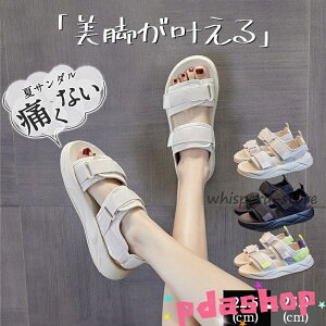 T_ fB[X X|[cT_ T_ EFbW\[ X|T Xj[J[T_ E₷ ₷  JWA V[Y ɂȂ