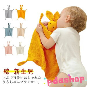 ySi2_5%OFFzuL[ K[[ ZLeBuPbg  x ʂ   V xr[ Ԃ oYj j̎q ̎q~jTCY Mtg oYj ɂɂ 