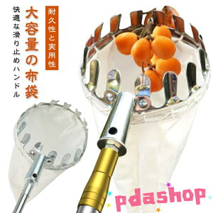 |p sbLOc[ t[csbJ[ }؂΂ ʕn Lk y t[csbJ[ } ʕ nc[ XeX ʕLb`[ x[sbJ[ ʕE