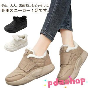 ySi2_5%OFFzXb| EH[LOV[Y Xj[J[ V[Y  ʋC Xj[J[ [gV[Y O N RtH[gV[Y fB[X 