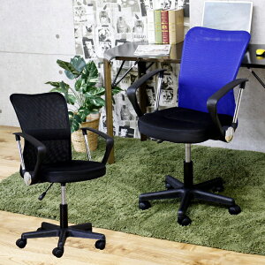 y}\Ԓ Si|Cg10{z`FA[ p\R`FA ~ 50cm Vv  KXV_[ LX^[t ubN u[ Iׂ2F   bVf ʋC 