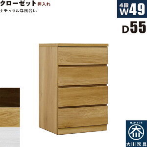 k [`FXg 49cm s55cm 4i ^X `FXg ˍ { Y N[[bg[  i m^X ߗގ[ `FXg [`FXg ^X [^X [ m_