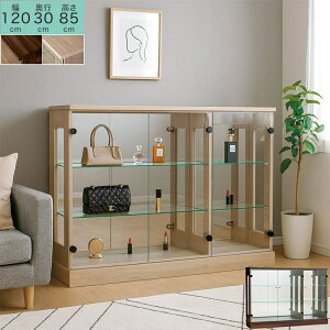 y 10/30()0̂3,000~OFFN[|zzz120cm [^Cv RNVP[X ؖڒ wʃ~[ KXI t  ɂ uE x[W i` w