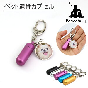 遺骨 アクセサリー キーホルダー ペットの人気商品 通販 価格比較 価格 Com
