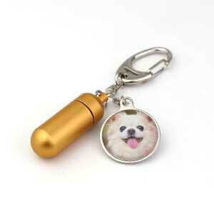 ybg⍜JvZ L[z_[ I[_[ChDt yʃA~ ʐ^  ⍜ANZT