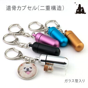 ybg⍜JvZ KX d\ ⍜L[z_[ I[_[ChDt `[t y A~ ʐ^  ⍜ANZT r