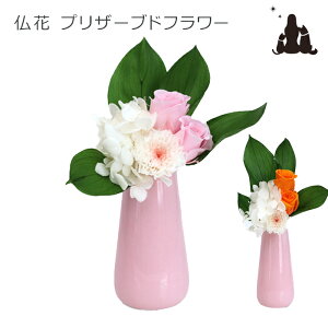 仏花 ミニ ペットの人気商品 通販 価格比較 価格 Com