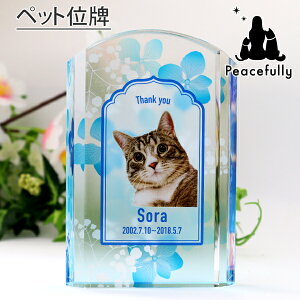 ybg@ʔvNX^KX n[oE A[`^@J[@킢@@ꂢ