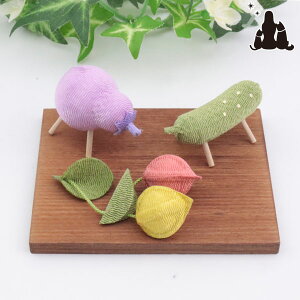 ybg ~  pXenZbg ~jTCY ߂ ~ V~ ~ Zbg }Zbg