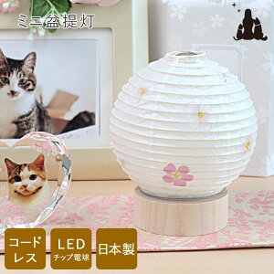盆提灯 モダン ペットの人気商品 通販 価格比較 価格 Com