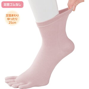 �S���Ȃ� 5�{�w �\�b�N�X �w�l ���{�� ���������� �C�� ���߂����� �����炭�炭 �V�j�A ���� ��� 89287