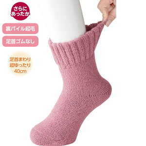 ���{�� �S���Ȃ� �C�� �w�l �э��������� ���N�іѕz ����܂���40cm �\�b�N�X ���߂����� �H�~ 89450