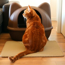 【在庫有】【ゼフィール】icat　砂取りマット [17351]