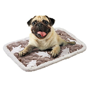 [{]y}Jz@ǂ邵낭܂̉M}bg@S