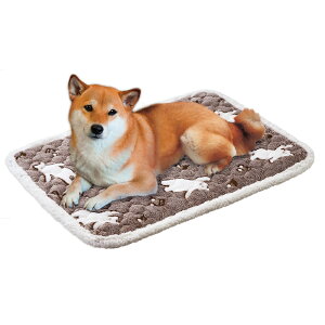 [{]y}Jz@ǂ邵낭܂̉M}bg@M