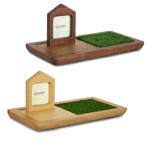 yCocolinoz@RbR[m ڃjgp@Xe[W@Pratoiv[gj