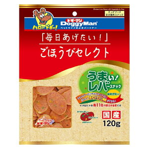 [{][Ԍ]yhM[}z@قуZNg@܂Io[XibN@ΉFؓ@120g