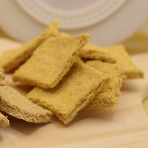 【ボンジョーズ】 ねこといぬ ビーガンチップス かぼちゃ 20g