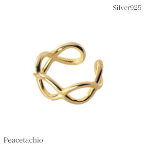 _ӍՌ20It2_ȏ㔼z^sAM[ΉtZJhsAX CJt C[Jt mz[ Silver925 Vo[ S[h 18KR[eBO bVv[g Mtg P[Xt