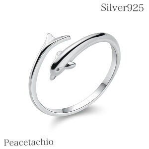 _z^yAM[Ήz O w fB[X t[TCY Vo[925 Silver925 CJ 邩 Aj} 킢 v[g Mtg 12[17͈̔͂Œ\