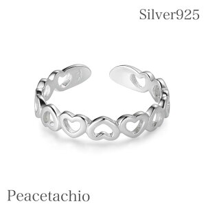 _z^yAM[Ήz O w Silver925 n[g t[TCYv[g Mtg P[Xt