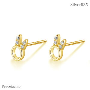 yAM[Ήz ZJhsAX sAX Vo[sAXVo[925 Silver925 fB[XVo[ S[h 18KR[eBO  e Vv v[g Mtg P[Xt