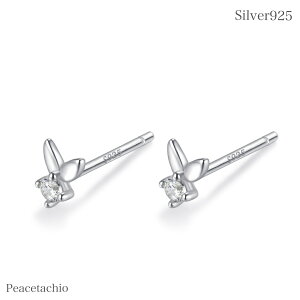 yAM[Ήz ZJhsAX sAX Vo[sAXςȂ ɏ  ڗȂ ڗɂSilver925 Vo[925 S[h 18KR[eBO  ~j CZ_C ~js