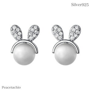 _z^yAM[Ήz ZJhsAX sAX Vo[sAXSilver925 Vo[  LbcACv[g Mtg P[Xt