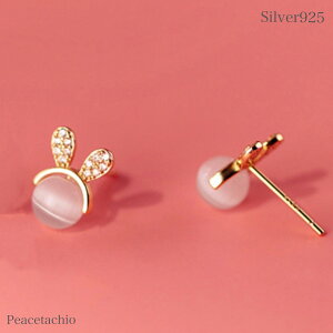 yAM[Ήz ZJhsAX sAX Vo[sAXSilver925 Vo[  LbcACv[g Mtg P[Xt