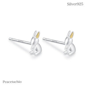 yAM[Ήz ZJhsAX Silver925 sAX Vo[sAXVo[925  VvANZT[ v[g Mtg P[Xt