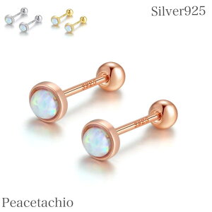 sAM[ΉtZJhsAX sAX Vo[sAX Silver925 Vo[ S[h 18KR[eBO Ip[ Ԃ ~jTCYlW^Cv XN[^Cv lW Peacetachio