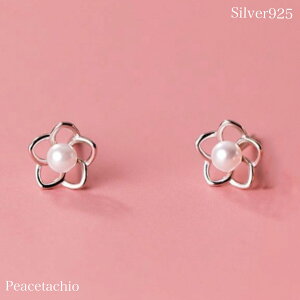 _20off^sAM[ΉtZJhsAX sAX Silver925 Vo[ sNS[h   t[ JA coL ։ï zIȈ GKg p[