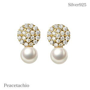 sAM[ΉtZJhsAX sAX Vo[sAXSilver925 Vo[ S[h 18KR[eBO CZ_C p[v[g Mtg P[Xt