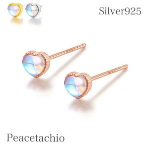 _z^yAM[Ήz ZJhsAX sAX Vo[sAXSilver925 Vo[ NA n[gv[g Mtg P[Xt