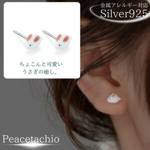 yAM[Ήz ZJhsAX sAX Vo[sAXSilver925 Vo[  e e  LO a ̓ Mtg v[g