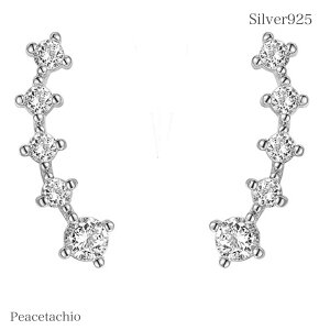 sAM[ΉtZJhsAX sAX Vo[sAXSilver925 Vo[ X}C CZ_Cv[g Mtg P[Xt