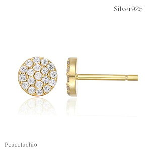 _zN[| XSi2_ȏ^yAM[Ήz ZJhsAX sAX Silver925sNS[h  ~ CZ_Cv[g Mtg P[Xt