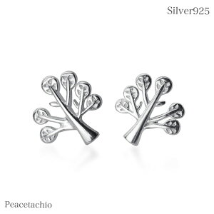 yAM[Ήz ZJhsAX sAX Silver925 Vo[ c[  Rv[g Mtg P[Xt