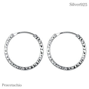 _P10{30offN[|^sAM[ΉtsAX Vo[sAXSilver925 Vo[ O 20mm 14mm _ChJbgv[g Mtg [P[Xt